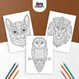 livre de coloriage animaux pour adultes au Maroc