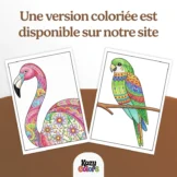 livre de coloriage animaux pour adultes au Maroc